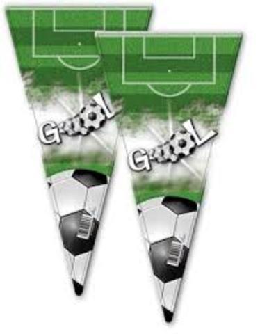 [8423138525603] BOLSA CONO 20x40 GOOL, PAQ. 100UDS